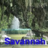 Savannah Offline Map