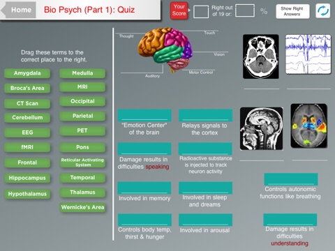 Psyc Test Hero - Test Prep for AP Psychology, GRE, EPPP and NCLEX Exams screenshot 3