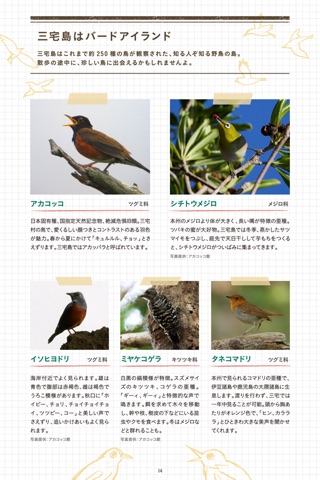 Miyakejima Walking Guide screenshot 3