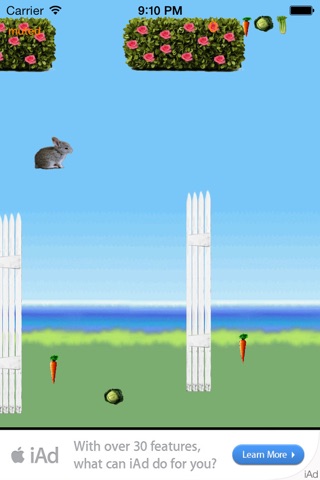 Hopsy Bunny screenshot 3