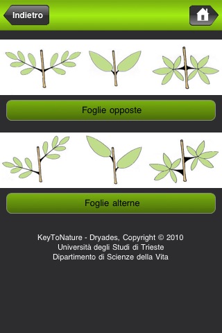Cento piante da scoprire nell'Orto Botanico di Catania screenshot 3