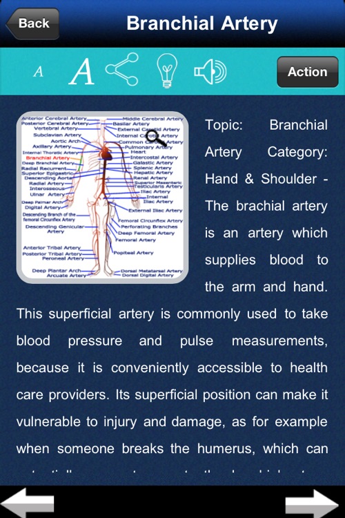 Artery System: CardioVascular screenshot-4