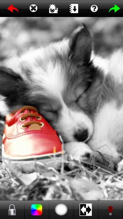 Illusion Hand Free - IllusionHand , add a splash of color to your photos !