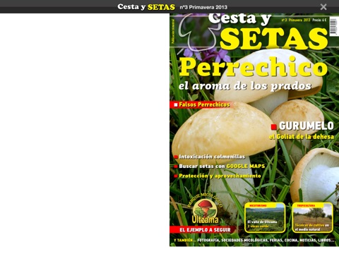 Cesta y Setas screenshot 4