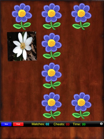 Match the Flowers! screenshot 2