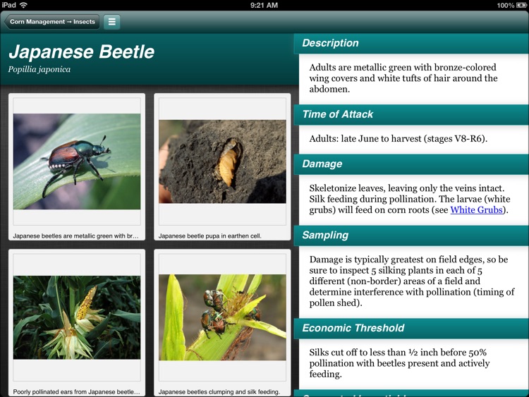Purdue Extension Corn & Soybean Field Guide