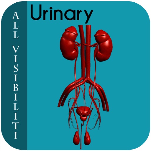 All Visibiliti Urinary icon