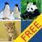 Funny animal match and knowledge  FREE