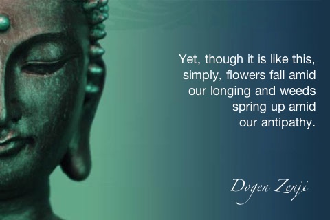Wisdom of Buddha screenshot-4