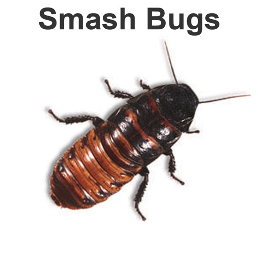 Smash Bugs