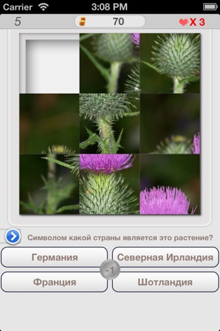 Пазл Викторина screenshot 2