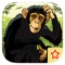 Flying Ninja Apes Attack - The Planet of War PREMIUM by The Other Games