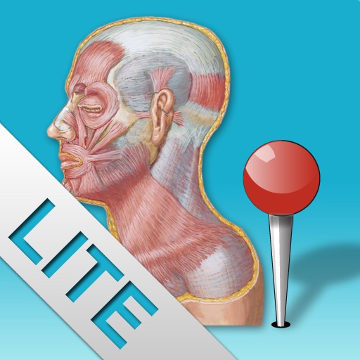 Netter Flashcards: Testa e Collo LITE