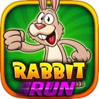 Rabbit Run Game