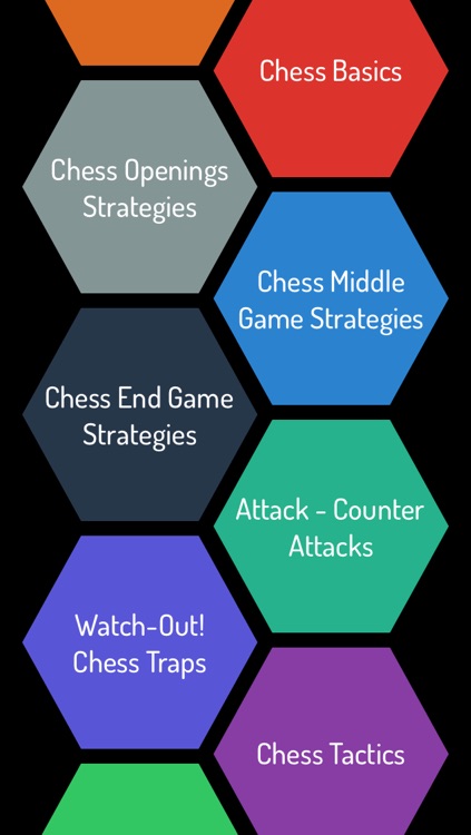 Chess Guide - Beginner To Master