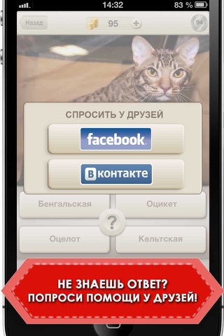 Cats: Guess & Win! screenshot 4
