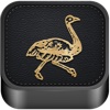 Backes And Strauss for iPhone