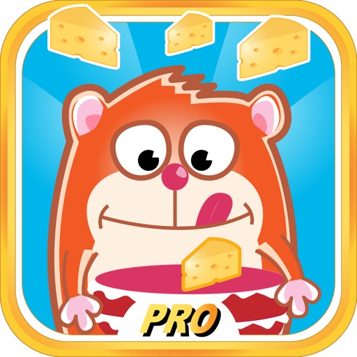 Chase of Crazy Hamster Hunger Pro icon