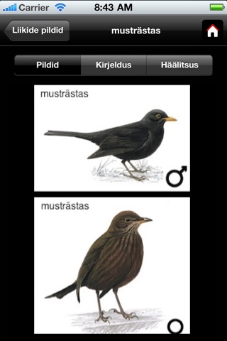 Talvine aialinnuaabits screenshot 3