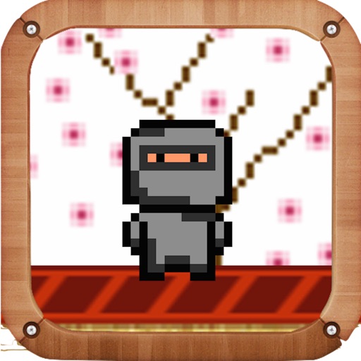 Ninja Dash icon