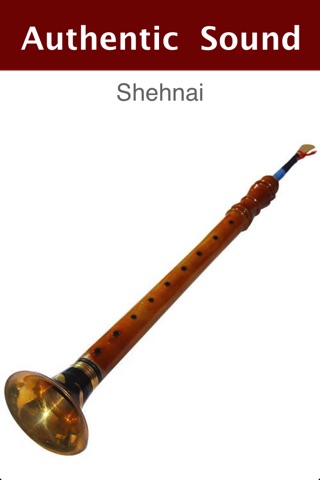 Indian Musical Instruments screenshot 3