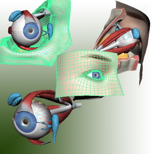 3D Eye HD