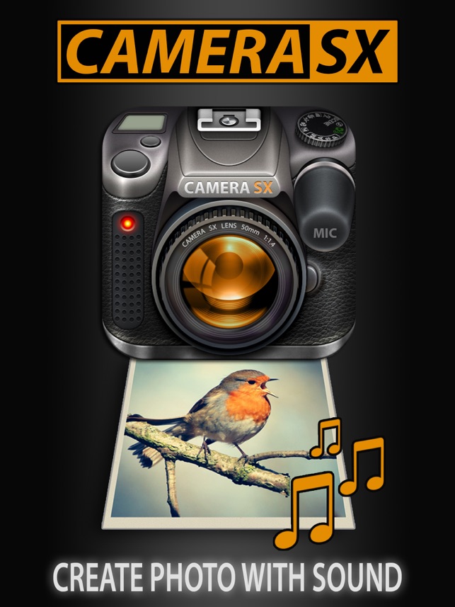 Camera SX Pro for iPad : Photo with Sound(圖1)-速報App