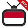 TV Indonesia HD Pro - menonton TV Online