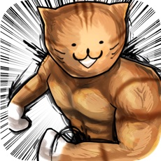 Activities of Cat  Fight!!　にゃんこ大乱闘　ねこアプリ