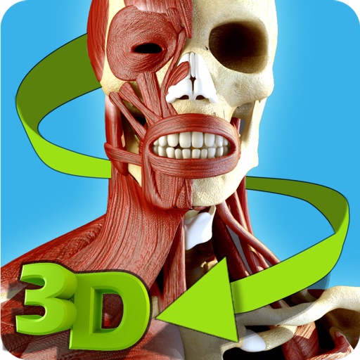 Easy Anatomy 3D icon
