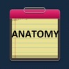 Anatomy Study Guide