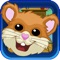 Keep the mini mouse alive from the hungry cats in this fun and entertaining game