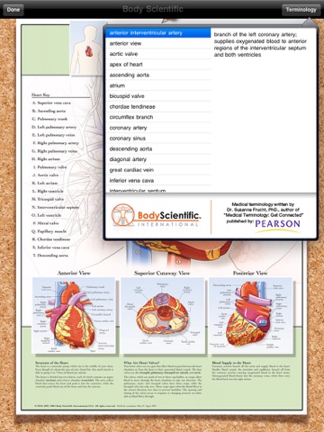 Body Scientific Charts and Booksのおすすめ画像5