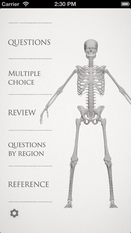 basic anatomy for all [bones]