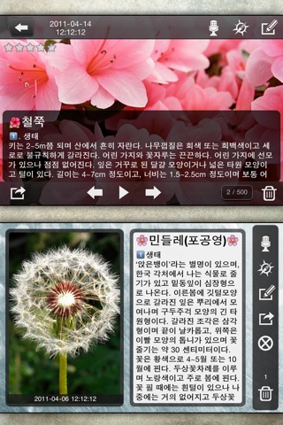 앨범관리 + 포토 다이어리 + 비밀사진관리 screenshot 4