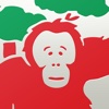 Borneo Orangutan Survival Australia