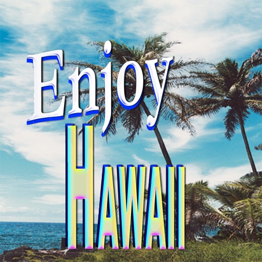 Enjoy Hawaii - Virtual Tour icon
