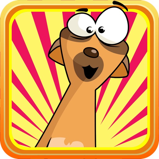 Dumb MeerKats Candy Rush : Run & Jump High or Die