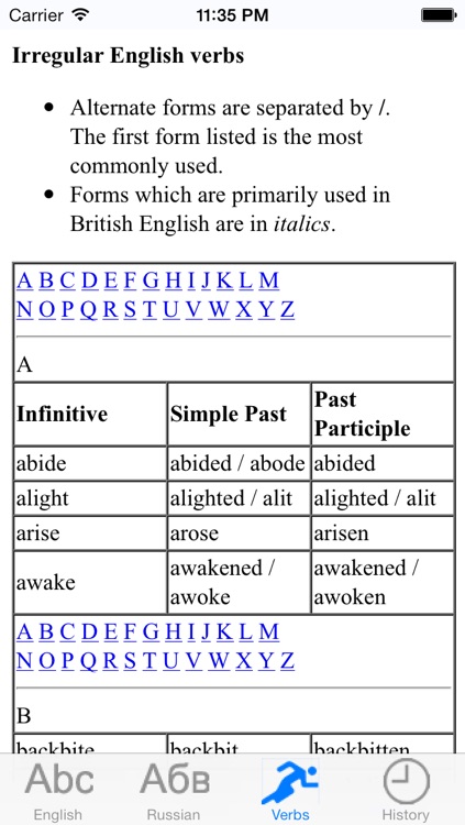 English-Russian/Russian-English Lite