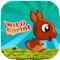 Wild Sprint -A delightful platform runner adventure
