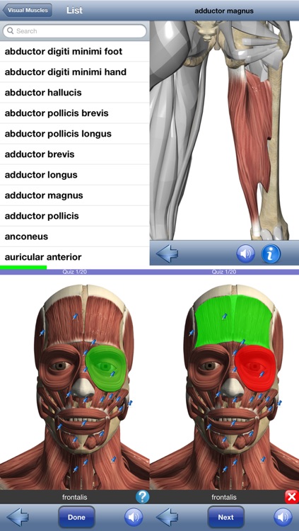 Visual Muscles 3D screenshot-4
