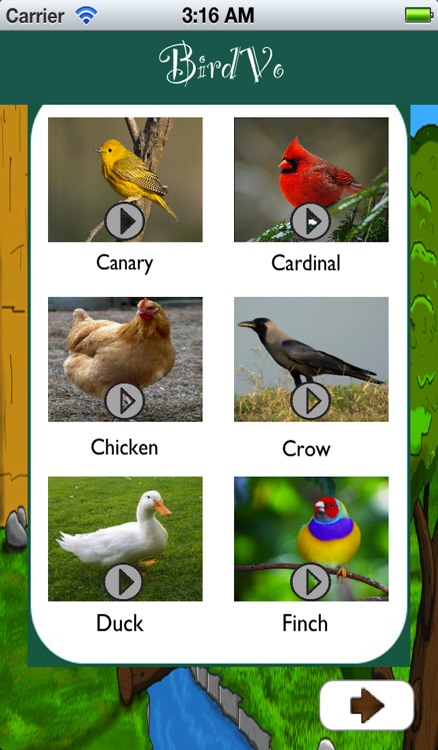 Birds Sounds App ~ BirdVo ~ Bird Voices