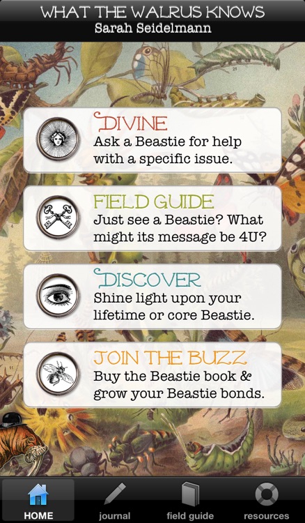 What the Walrus Knows: A Guide to Beastie Energies!