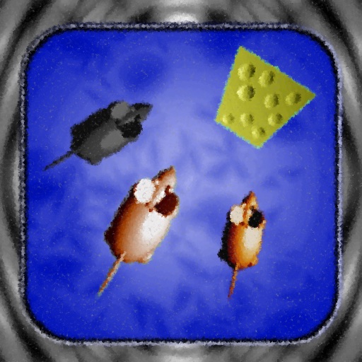 Fat Cheese icon