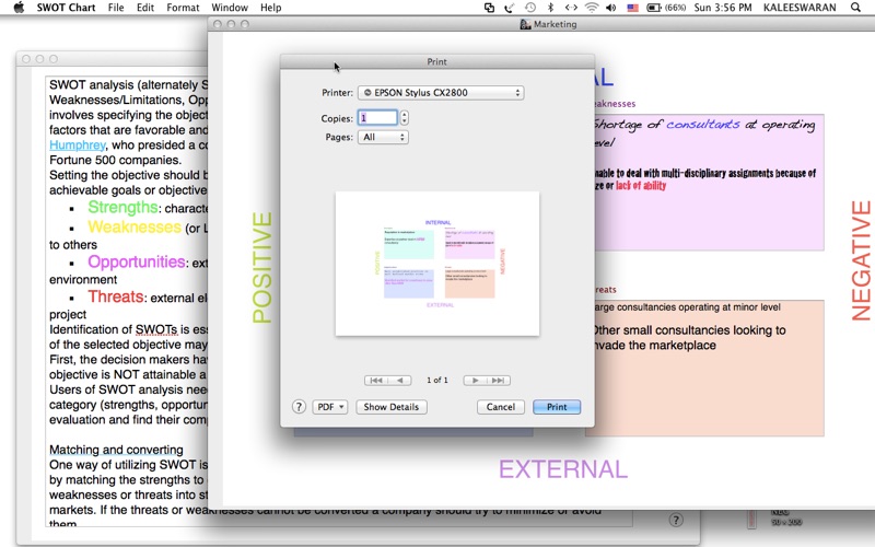 SWOT Chart thumbnail 3