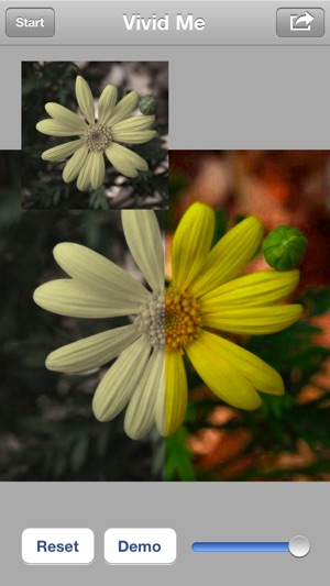 Vivid Me Free - photo color saturation adjustment and image (圖1)-速報App