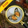 Forest House Hidden objects