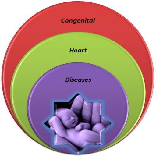 CCHD Wheel