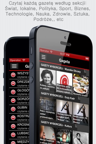 Polskie Gazety+ (Polish Newspapers+ by sunflowerapps) screenshot 2