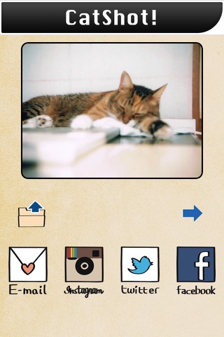 CatShot! Lite screenshot 4